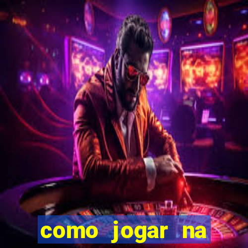 como jogar na lotinha do jogo do bicho